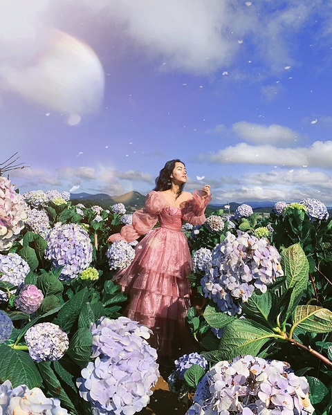 9409042d5296b0c8e987